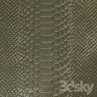 The texture snake skin
