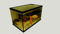 Mi Acuario