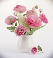Pink flowers