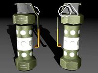 M84 Stun Grenade