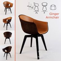 Armchair Ginger Poltrona Frau