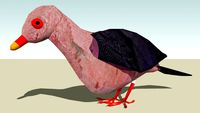 Red-billed Pigeon