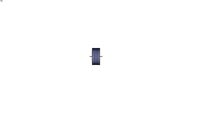 Piston Seals