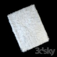 Carpet Collie