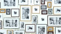 Paintings Collection