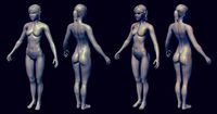 Jenny - Base Female Model