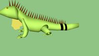 green iguana