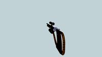 airsoft gun