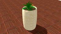plant