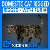 Rigged Domestic Cat