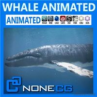 Animated Whale