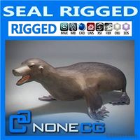 Rigged Seal