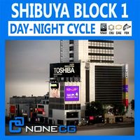 Tokyo Shibuya Block 1- 3D Model