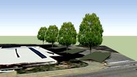 Memorial Coliseum Trees