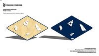 Painél Modular de Escalada Losango