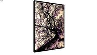 Quadro galhada Infra Red - Ammo Quadros