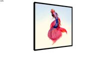Quadro Peixe Color