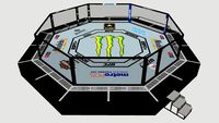 The UFC Octagon