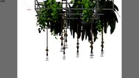 GAIOLA COM PLANTAS