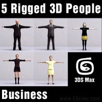 BUSINESS PEOPLE- 5 RIGGED 3D MODELS (MeBuCS002b)