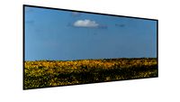 Quadro Campo de Amendoim