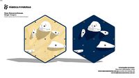 Painél Modular de Escalada Hexagonal