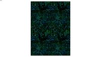 branc. PAPEL DE PAREDE CLÁSSICO LÍQUIDO II AZUL NEON