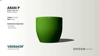 Vaso Aran P - Vaso e Cor