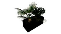 Plantenbak