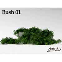 Bush 1 - 3D Model