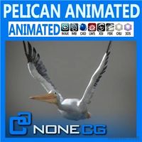 Animated Pelican