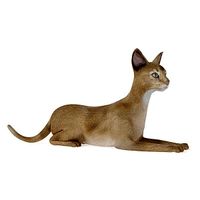 Cat 52 am83
