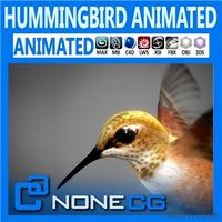 Animated Hummingbird