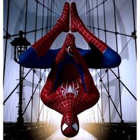 Spiderman Rigged - 3D Model