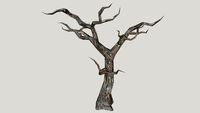 baum