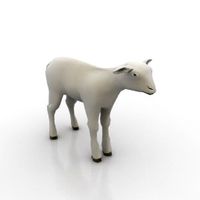 Lamb