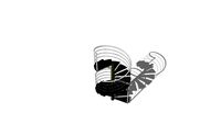 Escalera Espiral