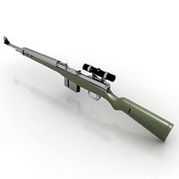 Gun