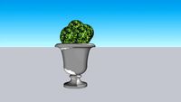 BOXWOOD SHPERES IN URN