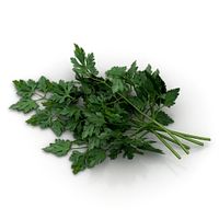 Parsley