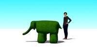 Elefant, topiari