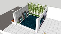 KOI POND MICO