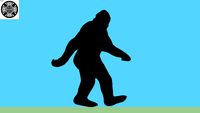 Bigfoot Sasquatch Yeti Silhouette