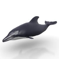 Dolphin