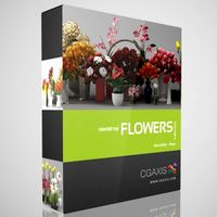 3D Model Volume 6 Flowers MentalRay