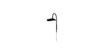 Wall Light FERMLIVING Arum black