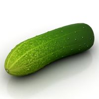 Cucumber
