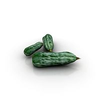 Cucumber