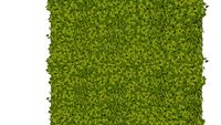 JARDIM VERTICAL