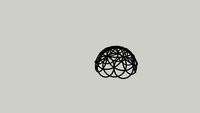 3d Flower of Life